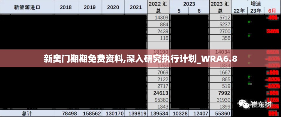 新奥门期期免费资料,深入研究执行计划_WRA6.8