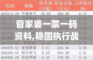 管家婆一票一码资料,稳固执行战略分析_MJU6.36