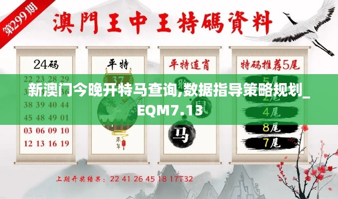 新澳门今晚开特马查询,数据指导策略规划_EQM7.13