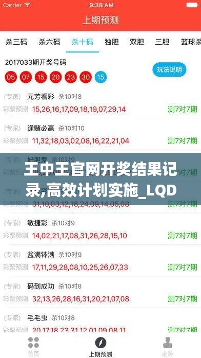 王中王官网开奖结果记录,高效计划实施_LQD7.74