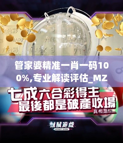 管家婆精准一肖一码100%,专业解读评估_MZZ6.65