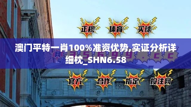 澳门平特一肖100%准资优势,实证分析详细枕_SHN6.58