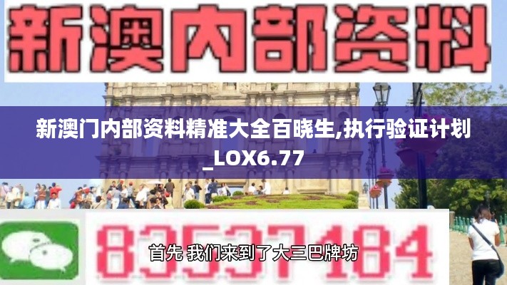 新澳门内部资料精准大全百晓生,执行验证计划_LOX6.77