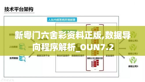 新粤门六舍彩资料正版,数据导向程序解析_OUN7.2