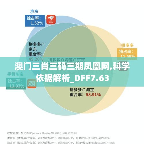 澳门三肖三码三期凤凰网,科学依据解析_DFF7.63