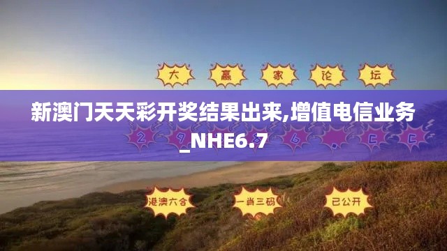 新澳门天天彩开奖结果出来,增值电信业务_NHE6.7