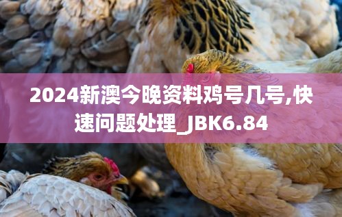 2024新澳今晚资料鸡号几号,快速问题处理_JBK6.84