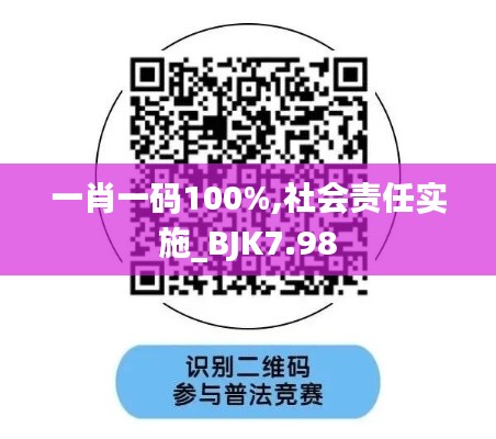 一肖一码100%,社会责任实施_BJK7.98