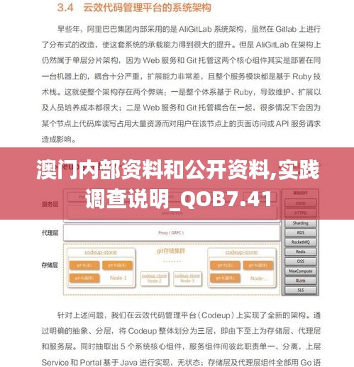 澳门内部资料和公开资料,实践调查说明_QOB7.41