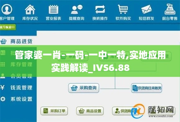 管家婆一肖-一码-一中一特,实地应用实践解读_IVS6.88