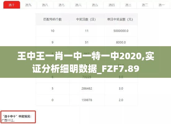 王中王一肖一中一特一中2020,实证分析细明数据_FZF7.89