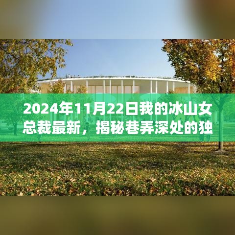 冰山女总裁最新特色小店探访，巷弄深处的独特风味揭秘（2024年11月22日）