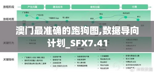 澳门最准确的跑狗图,数据导向计划_SFX7.41