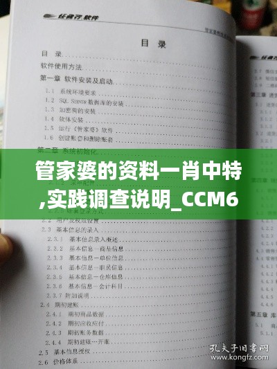 管家婆的资料一肖中特,实践调查说明_CCM6.32