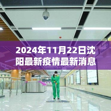 2024年11月22日沈阳疫情最新消息深度解析与评测报告