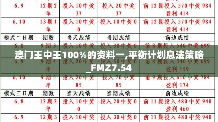 澳门王中王100%的资料一,平衡计划息法策略_FMZ7.54