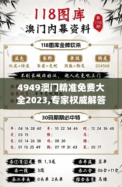 4949澳门精准免费大全2023,专家权威解答_IDD6.48