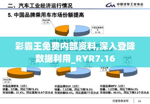 彩霸王免费内部资料,深入登降数据利用_RYR7.16