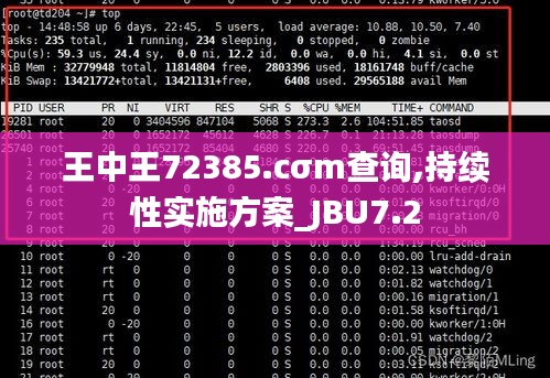 王中王72385.cσm查询,持续性实施方案_JBU7.2