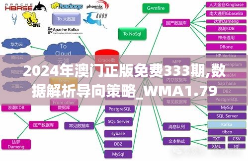 2024年澳门正版免费333期,数据解析导向策略_WMA1.79