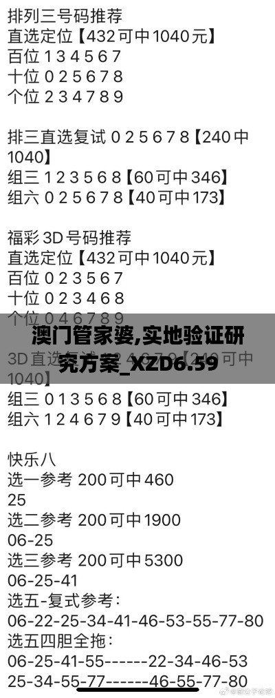 澳门管家婆,实地验证研究方案_XZD6.59