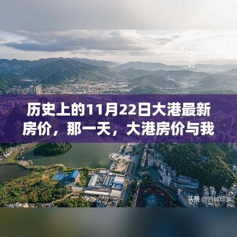 大港房价变迁日，11月22日的温馨故事与房价记录