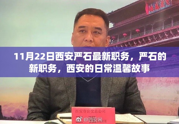 西安严石新职务揭秘，日常温馨故事中的新篇章