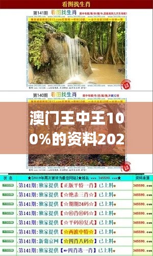 澳门王中王100%的资料2024年335期,权威推进方法_SRG5.79