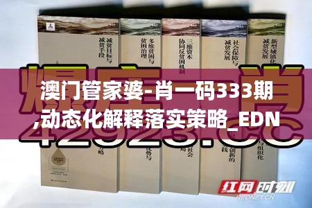 澳门管家婆-肖一码333期,动态化解释落实策略_EDN5.32