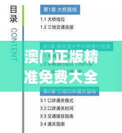 澳门正版精准免费大全333期,指导性解答落实途径_OAT7.22