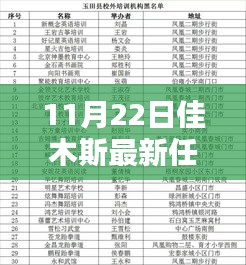 11月22日佳木斯最新任免名单及操作指南