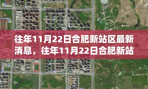 合肥新站区发展动态及最新消息概览，历年11月22日综述标题可能有些长，但尽量保持了简洁和准确性，希望符合您的要求。