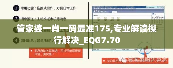 管家婆一肖一码最准175,专业解读操行解决_EQG7.70