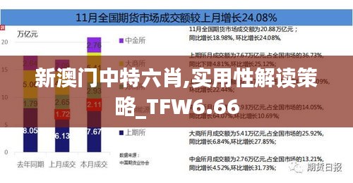 新澳门中特六肖,实用性解读策略_TFW6.66