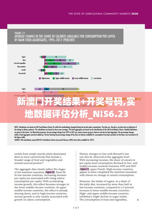 新澳门开奖结果+开奖号码,实地数据评估分析_NIS6.23