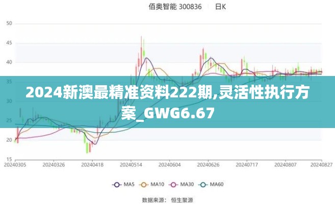 2024新澳最精准资料222期,灵活性执行方案_GWG6.67