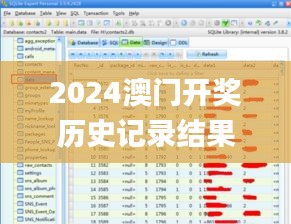 2024澳门开奖历史记录结果查询,实时数据分析_RYI6.10