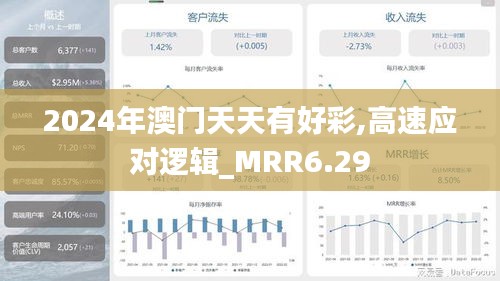 2024年澳门天天有好彩,高速应对逻辑_MRR6.29