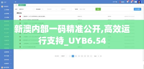 新澳内部一码精准公开,高效运行支持_UYB6.54