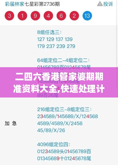 二四六香港管家婆期期准资料大全,快速处理计划_FSS6.29