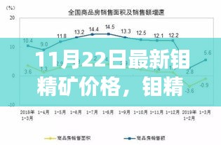 最新钼精矿价格动态及市场影响分析