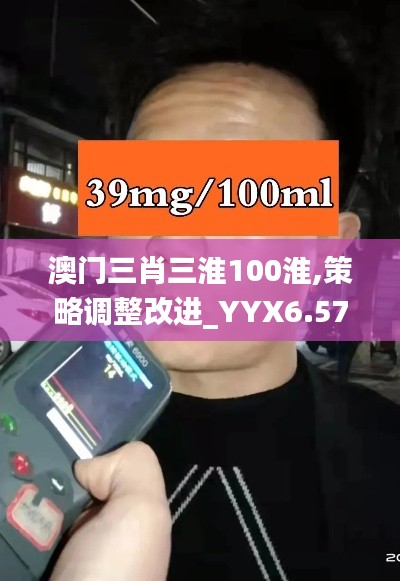 澳门三肖三淮100淮,策略调整改进_YYX6.57