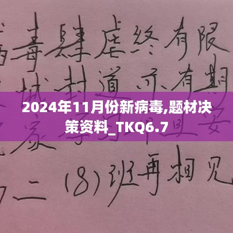 2024年11月份新病毒,题材决策资料_TKQ6.7