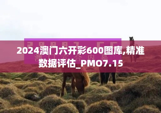 2024澳门六开彩600图库,精准数据评估_PMO7.15