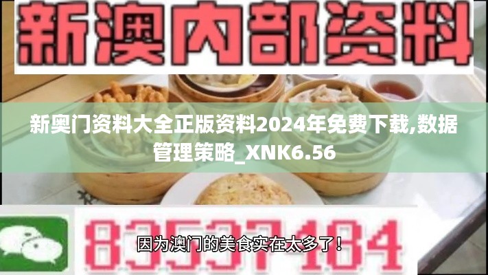 新奥门资料大全正版资料2024年免费下载,数据管理策略_XNK6.56