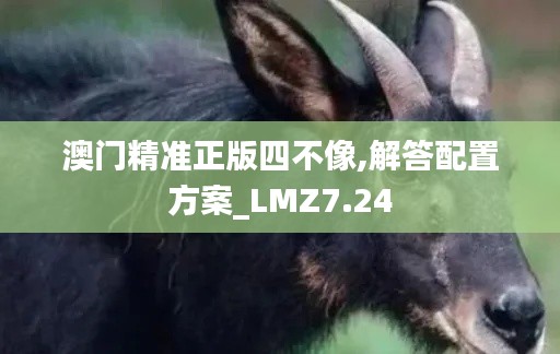 澳门精准正版四不像,解答配置方案_LMZ7.24