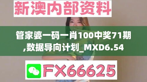 管家婆一码一肖100中奖71期,数据导向计划_MXD6.54