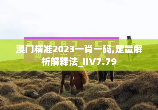 澳门精准2023一肖一码,定量解析解释法_IIV7.79