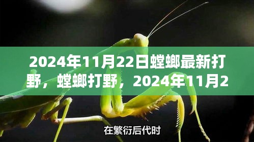 螳螂最新打野深度分析与观点阐述，2024年11月22日实战解读