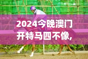 2024今晚澳门开特马四不像,设计规划引导方式_SZC7.12